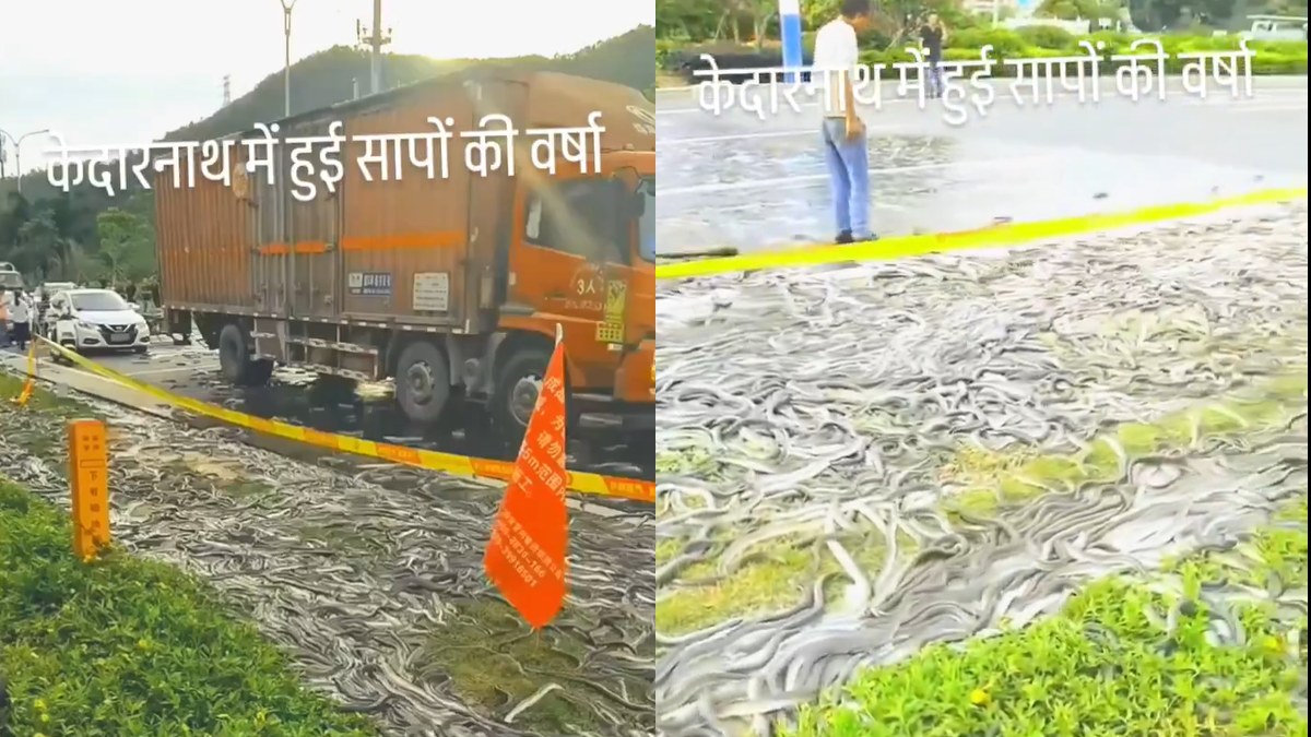 Viral Kedarnath Snake Gathering Video!! The Reality Behind the Video