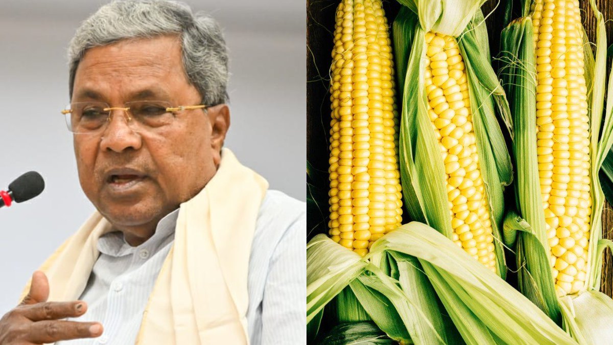Siddaramaiah