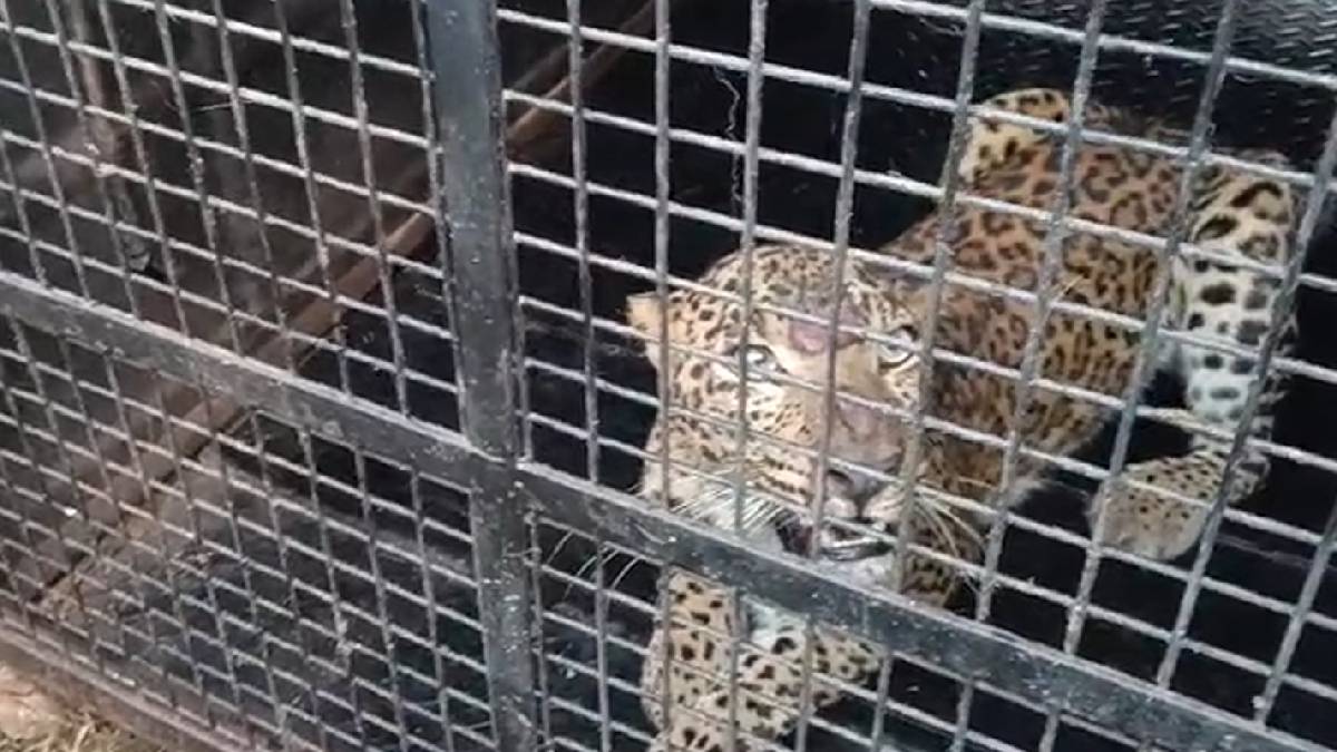 ಗ್ರಾಮಸ್ಥರ ಮನವಿಗೆ ಸ್ಪಂದಿಸಿದ ಅರಣ್ಯ ಇಲಾಖೆ