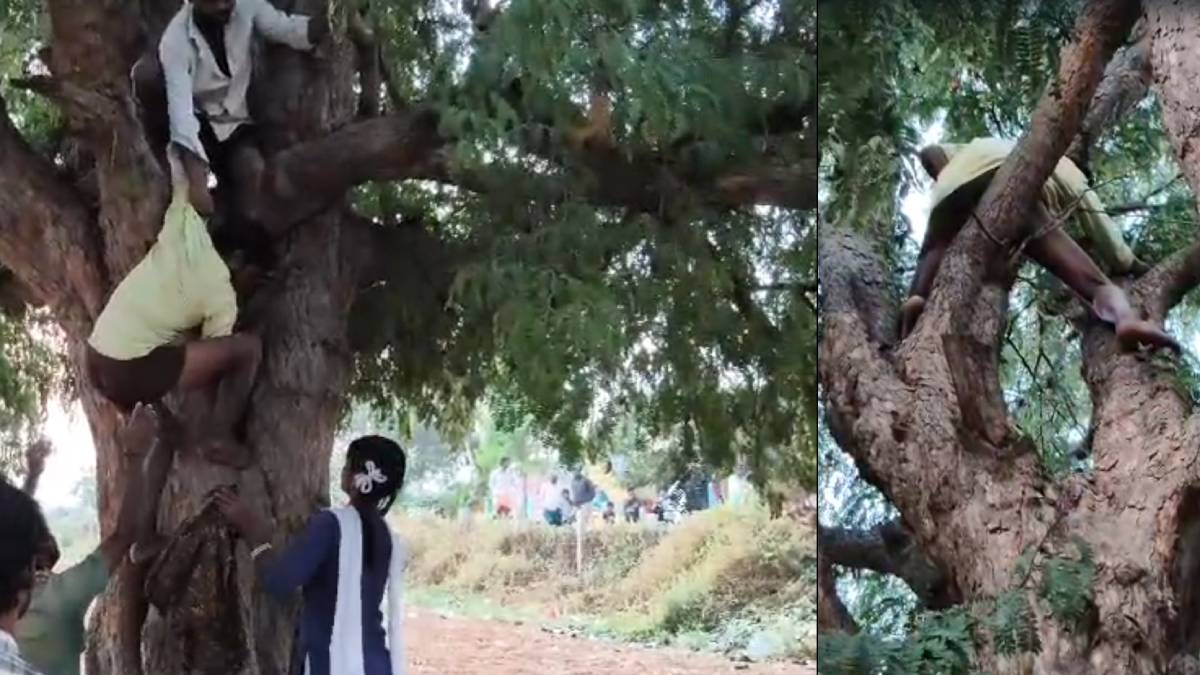 ಎಣ್ಣೆ ಪಾರ್ಟಿ ಹೈಡ್ರಾಮ ಮರ ಏರಿದ ನಾಗರಾಜ