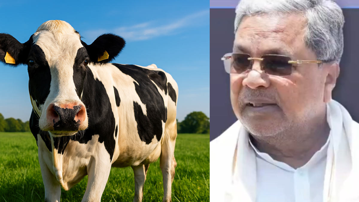 ಹಾಲು ಉತ್ಪಾದಕರಿಗೆ ಸಿಹಿ ಸುದ್ದಿ – ಪ್ರೋತ್ಸಾಹಧನ ₹7ಕ್ಕೆ ಏರಿಕೆ ಮಾಡಿದ ಸಿಎಂ ಸಿದ್ದರಾಮಯ್ಯ