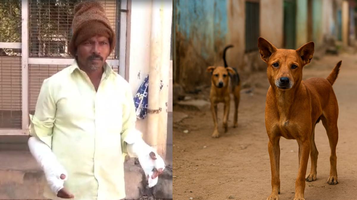 ವಿಜಯನಗರದಲ್ಲಿ ಗ್ರಾಪಂ ಸದಸ್ಯನ ಮೇಲೆ ಬೀದಿ ನಾಯಿಗಳ ದಾಳಿ!! ಎರಡು ಬೆರಳು ಕಟ್