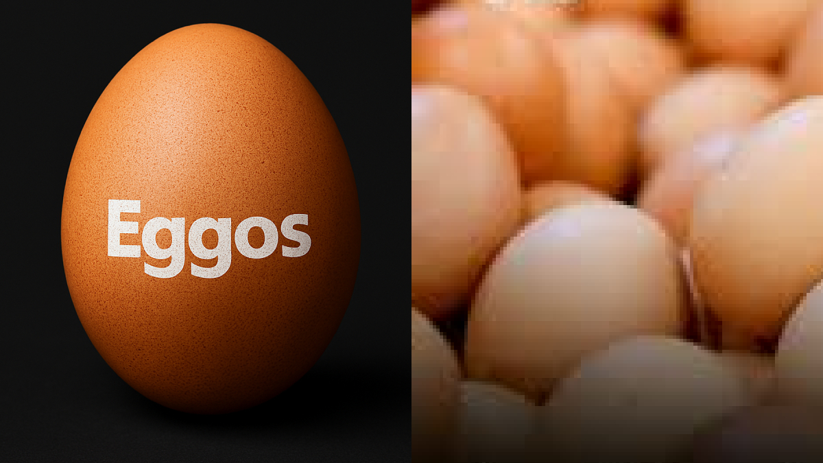 ಎಗ್ಗೋಸ್ ಮೊಟ್ಟೆ ಕ್ಯಾನ್ಸರ್ ವದಂತಿ : ಬೆಂಗಳೂರು ಸೇರಿ ರಾಜ್ಯದಾದ್ಯಂತ ಮೊಟ್ಟೆ ಸ್ಯಾಂಪಲ್ಸ್ ಸಂಗ್ರಹ