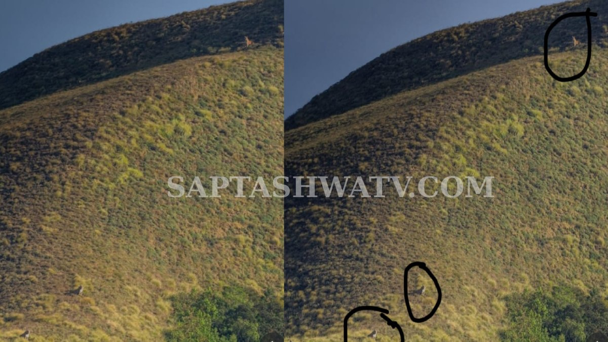 ಪಾಂಡವರಳ್ಳಿ ಗ್ರಾಮದಲ್ಲಿ ಮತ್ತೆ ಹುಲಿ ಭೀತಿ – ಪ್ರವಾಸಿಗರಿಗೆ ಎಚ್ಚರಿಕೆ ಸೂಚನೆ!