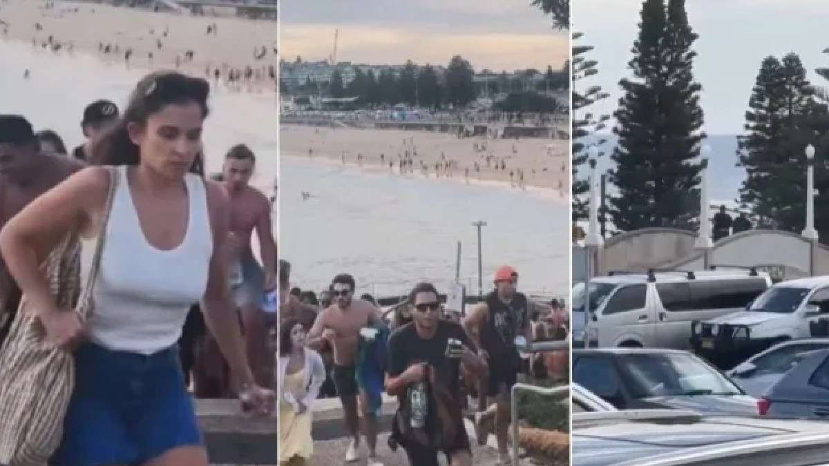 Terror in Sydney: Father-Son Duo Named in Bondi Beach Massacre as Death Toll Climbs to 16