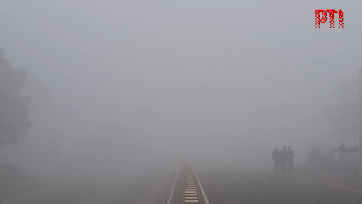 IMD Issues Cold Wave Alert | Photo Credit: PTI