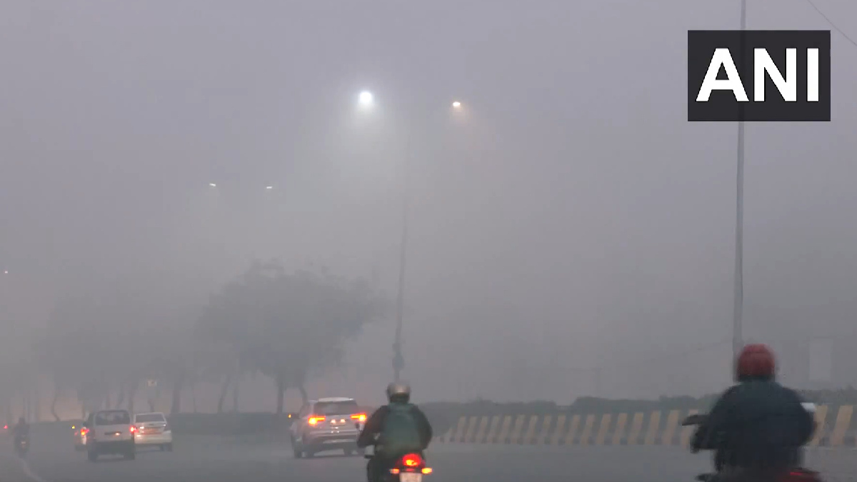 North India Shivers: Cold Wave and Fog Cripple Life; 129 Flights Cancelled in Delhi