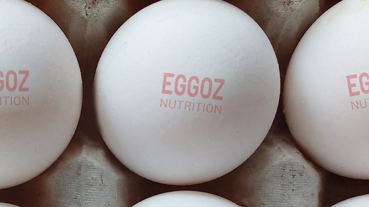 Eggoz Eggs | Photo Credit: https://www.eggoz.com/
