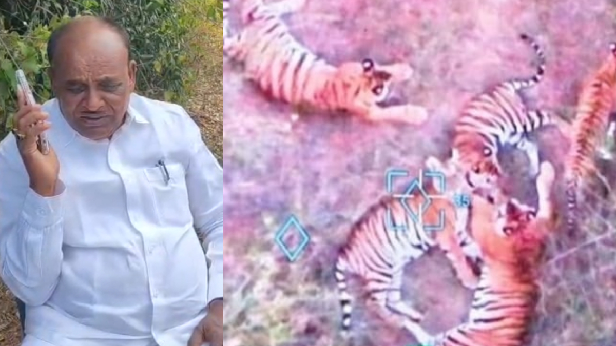 ಚಾಮರಾಜನಗರದಲ್ಲಿ ಹುಲಿ ಆತಂಕ: ನಂಜೆದೇವಪುರದಲ್ಲಿ 5 ಹುಲಿಗಳ ಪಗ್ ಮಾರ್ಕ್ ಪತ್ತೆ