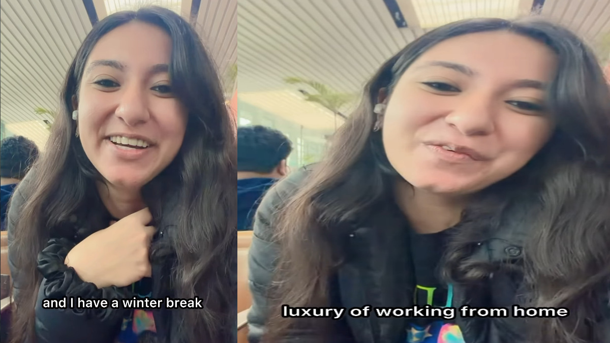 Flipkart 'Winter Break': Employee Viral Video on Year-End WFH Culture
