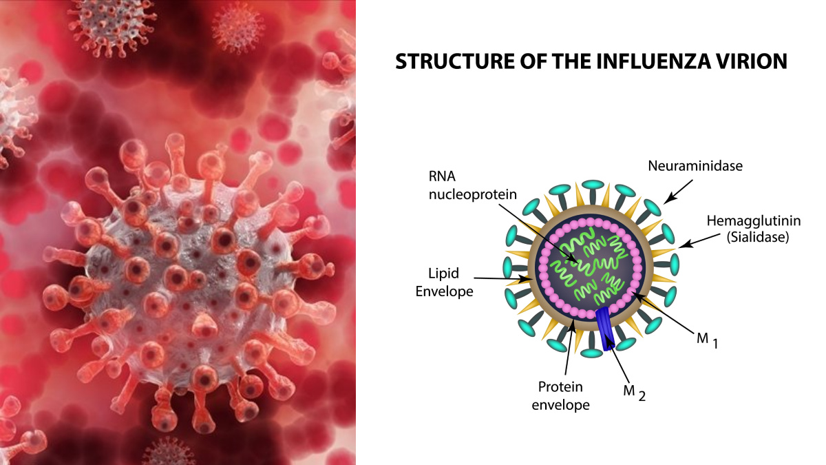 WHO Alert: New Influenza A(H3N2) 