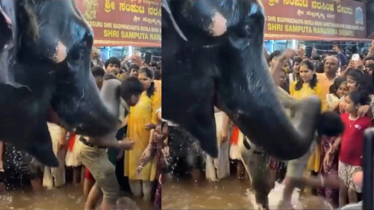 ಕುಕ್ಕೆ ಸುಬ್ರಹ್ಮಣ್ಯ: ನೀರಾಟದ ವೇಳೆ ಹೋಮ್ ಗಾರ್ಡ್ ಸಿಬ್ಬಂದಿಯನ್ನು ಸೊಂಡಿಲಿನಿಂದ ನೀರಿಗೆ ಎಸೆದ ಆನೆ ಯಶಸ್ವಿನಿ | ವಿಡಿಯೋ ವೈರಲ್