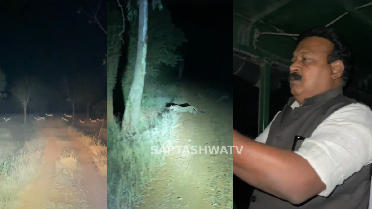 Leopard Sighting Shocks MLA and Safari-Goers at Ranebennur Blackbuck Sanctuary
