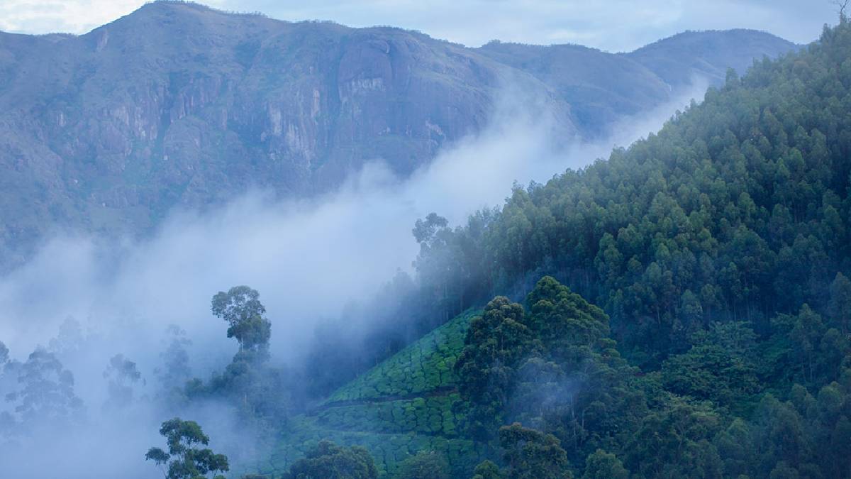 Temperature Falls to 0°C in Munnar, Cold Wave Intensifies in Kerala