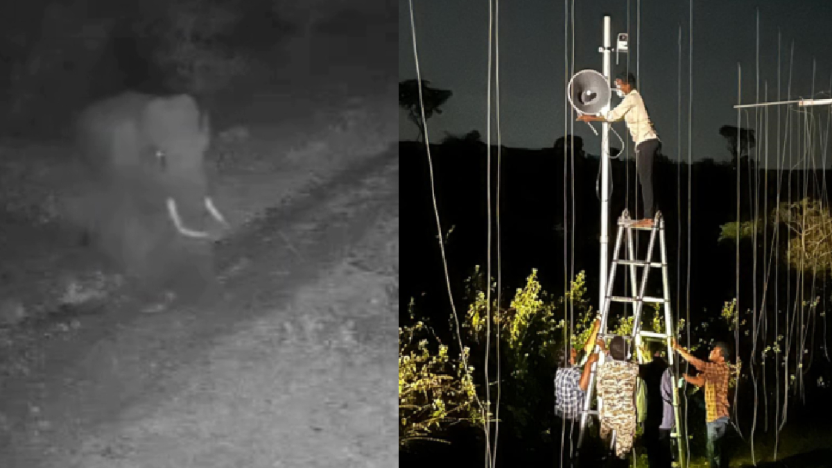 ಮೈಸೂರಿನಲ್ಲಿ ಕಾಡಾನೆ ಓಡಿಸಲು ಎಐ ಕೂಗು ಕ್ಯಾಮರಾ ಪ್ರಯೋಗ - ರೈತರ ಬೆಳೆಗಳಿಗೆ ಕಾವಲುಗಾರ