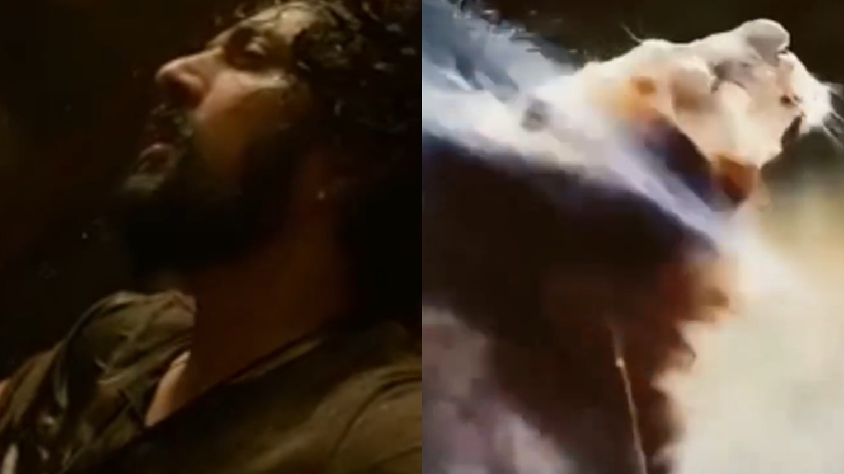 ಧನ್ವೀರ್ ಪೋಸ್ಟ್‌ಗೆ ವಿನಯ್ ಗೌಡ ಪ್ರತಿಕ್ರಿಯೆ!! ಜೋರಾದ ಸುದೀಪ್–ದರ್ಶನ್ ಆಪ್ತರ ಸೋಷಿಯಲ್ ವಾರ್