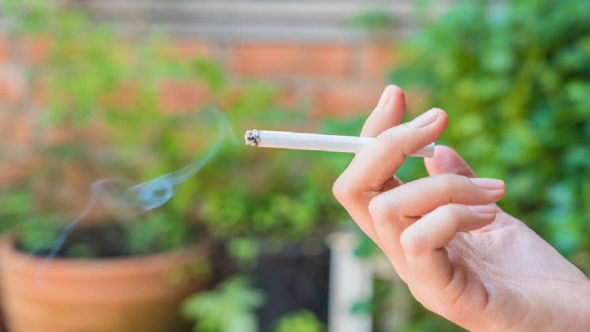 Massive Tax Surge on Cigarettes and Chewing Tobacco After Parliament Passes New Excise Bill