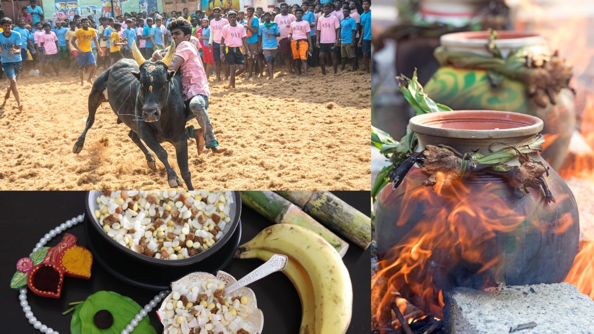 Pongal 2026 Dates & Rituals