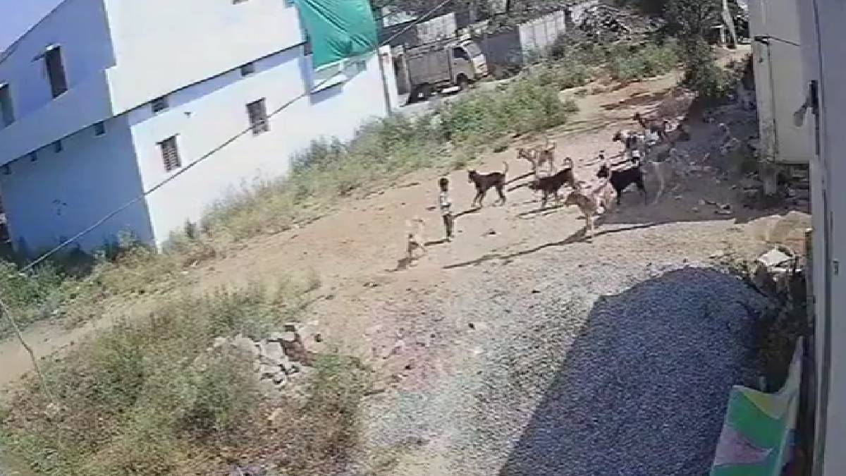 Stray Dog Attack in Telangana – Three-Year-Old Injured, Urgent Call for Public Safety