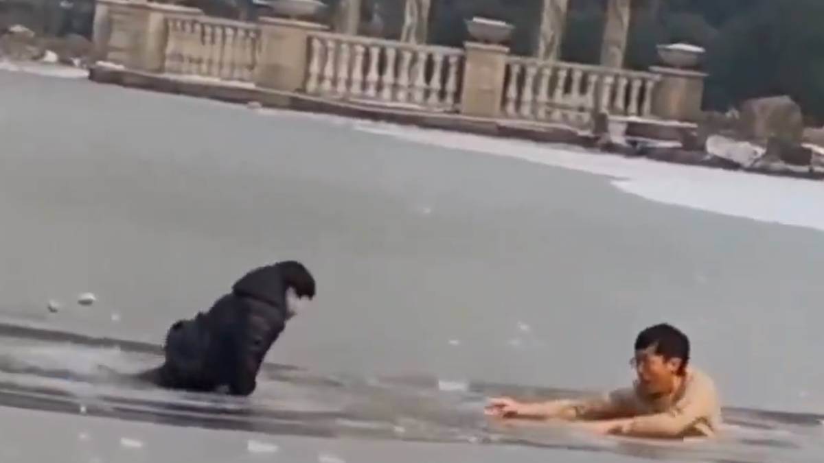 The Thin Ice: Bravery on Thin Ice and Rescue in Luoyang