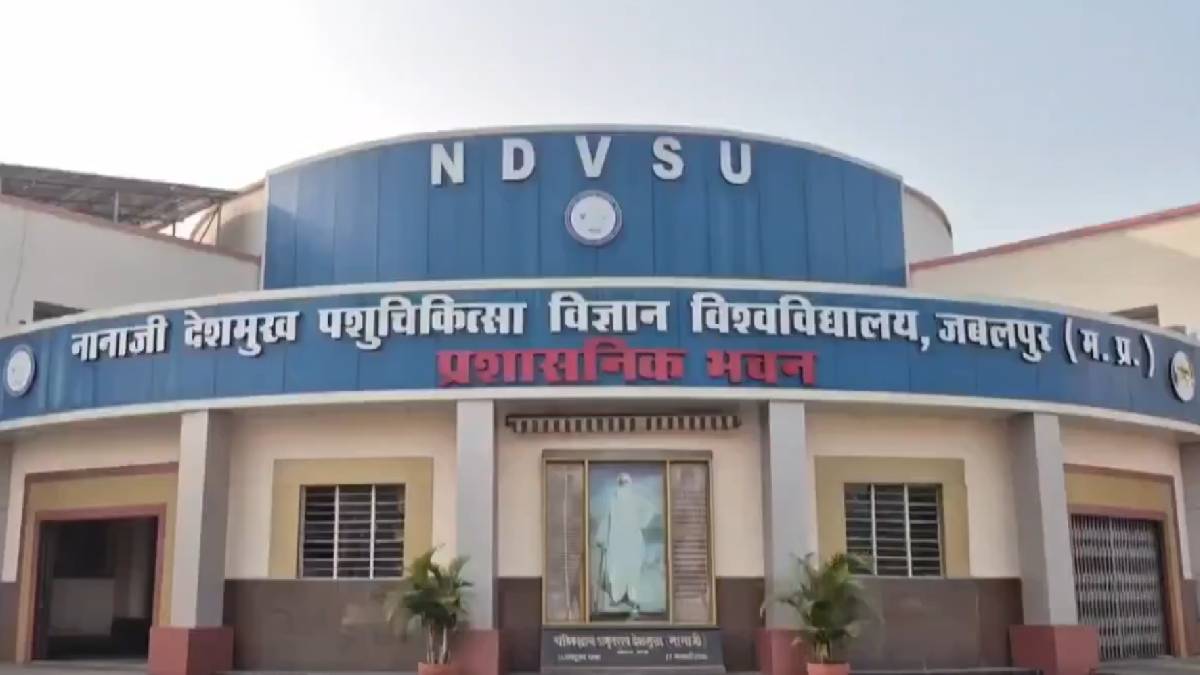 Government Cancer Project Using Cow Dung and Urine Under Fire for Misuse of Money