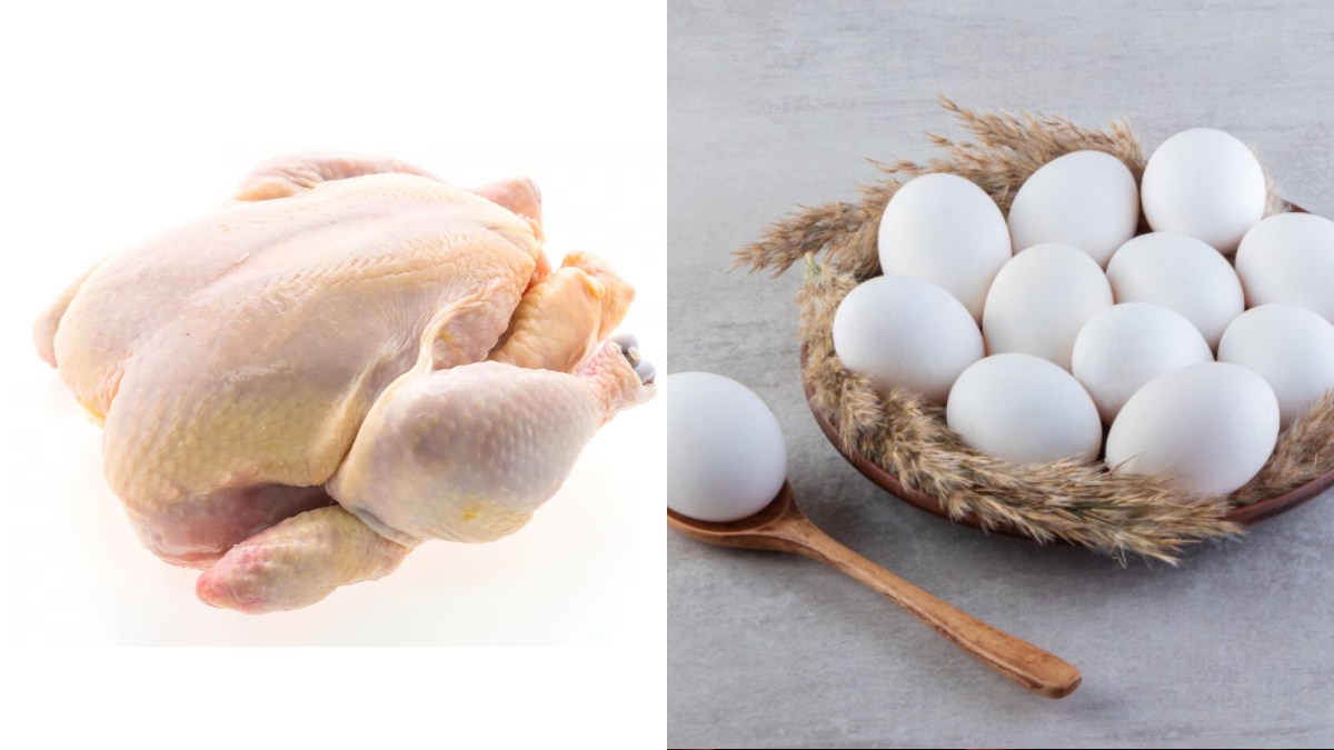 Cold Wave Hits Kitchens: Chicken and Egg Prices Soar in Bengaluru and Kolar as Production Slumps