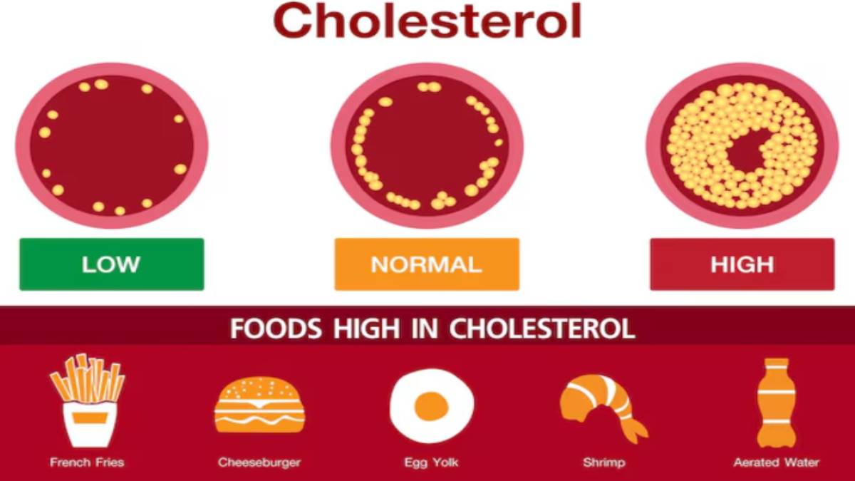 Top Five Cholesterol Myths, Heart Disease Risks & Facts | Photo Credit: freepik.com