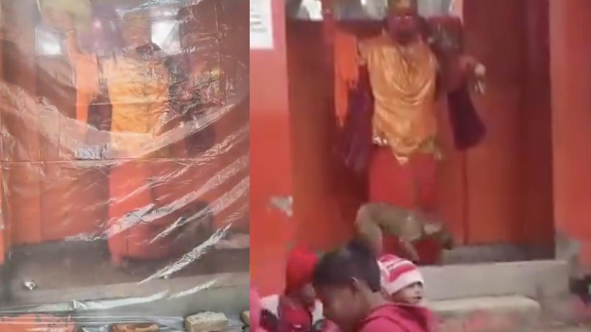 Stray Dog Circles Hanuman Idol in Uttar Pradesh Temple, Devotees and Experts React