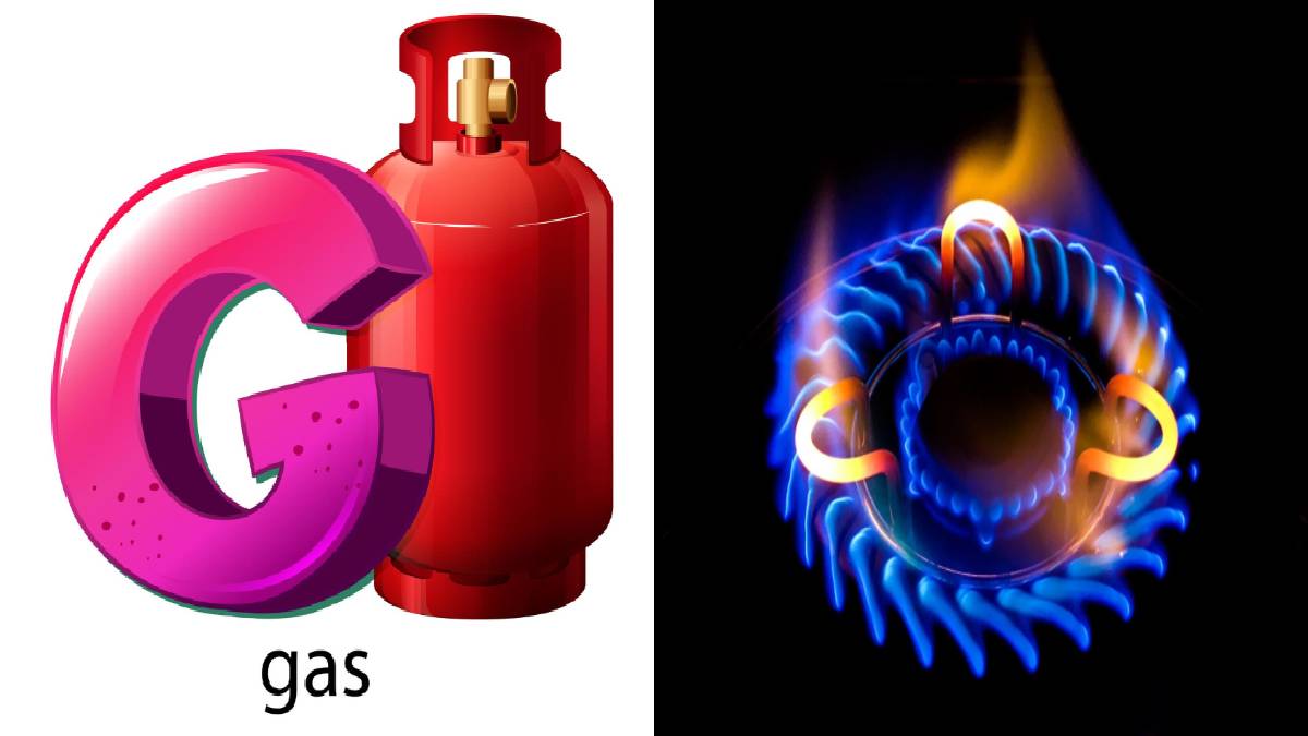 PMUY 3.0 Online Application 2026, An Accessible Guide to Free LPG Gas Connection | Photo Credit: freepik.com