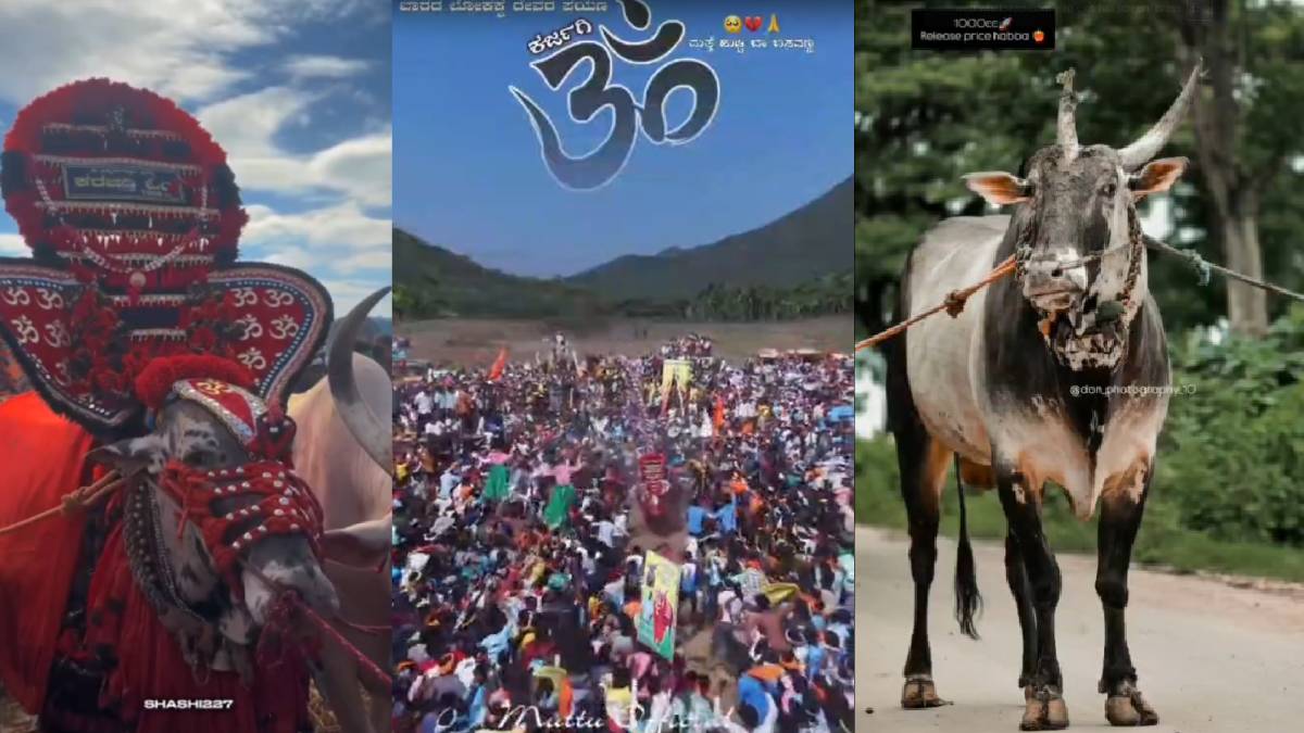 ರಾಜ್ಯಮಟ್ಟದ ಹೋರಿ ಸ್ಪರ್ಧೆಯಲ್ಲಿ ಹೆಸರು ಮಾಡಿದ ‘ಓಂ-112’ ಹೋರಿ ನಿಧನ - ಕಣ್ಣೀರಿಟ್ಟ ಊರಿನ ಜನತೆ!!