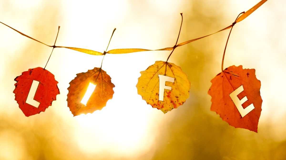 Life Is Strange: A Reflection on Living in the Now and Letting Go