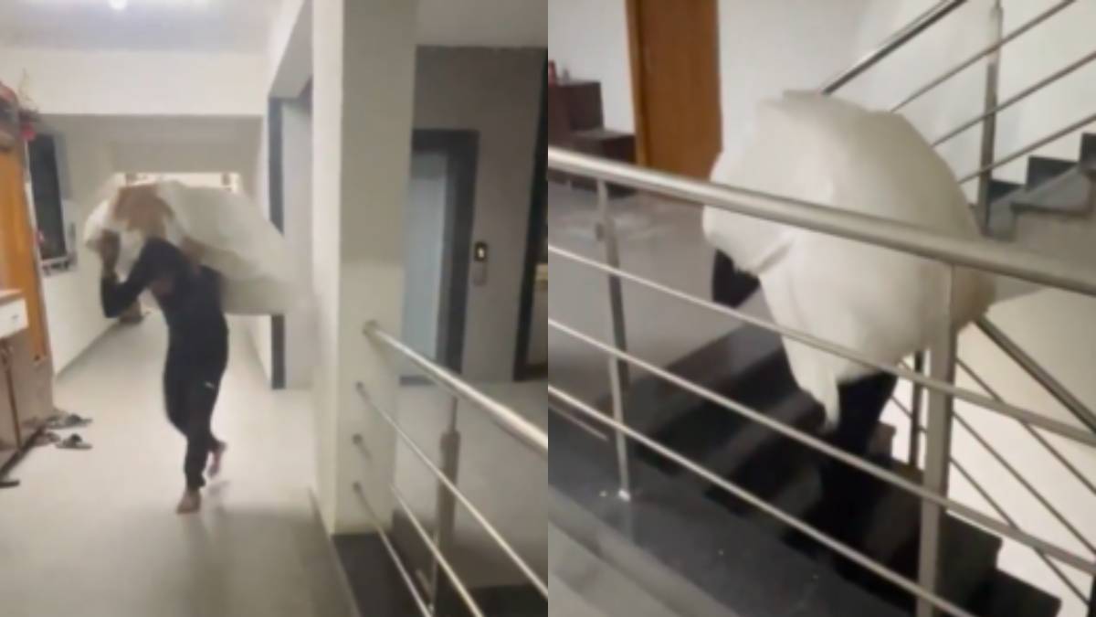 When Rules Hurt Workers: A Delivery Man Forced to Climb Six Floors Without Lift Access