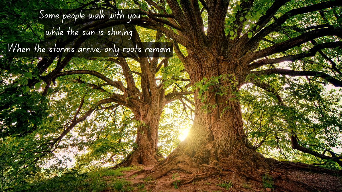 The Three Forms of People: Understanding Leaf, Branch, and Root People