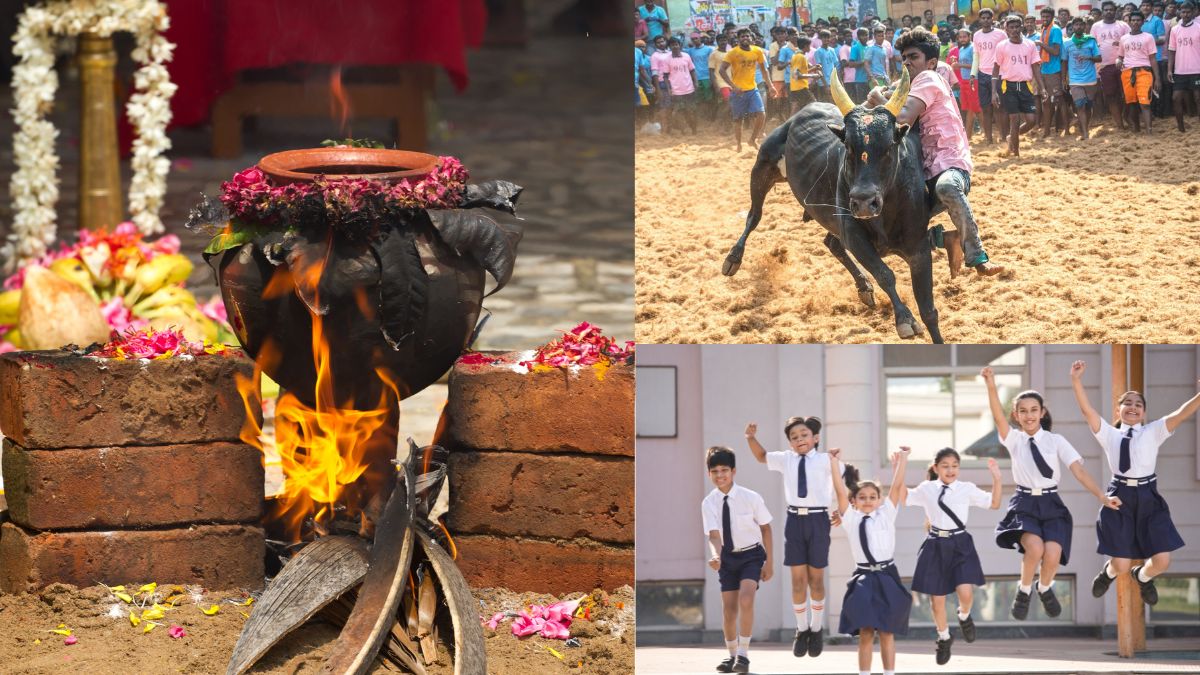 Tamil Nadu Pongal Holidays 2026: State Government Announces Long Break for Schools; Check Full Schedule