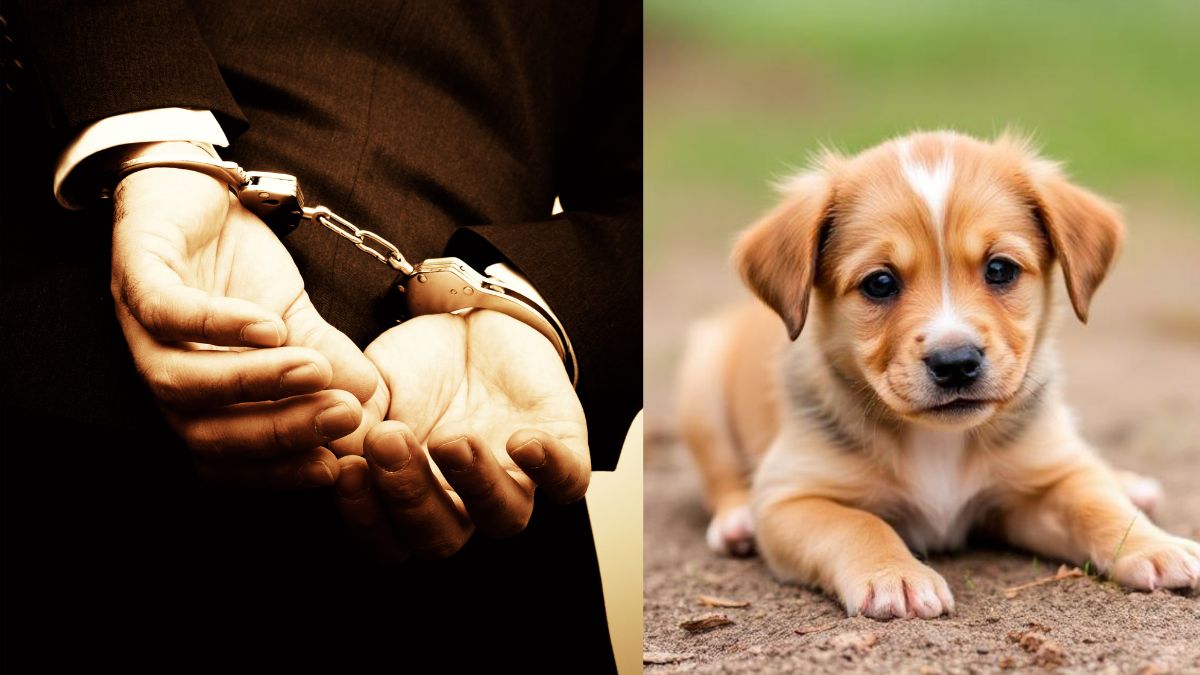 Man Arrested After Viral Video Exposes Assault of 2-Month-Old Puppy