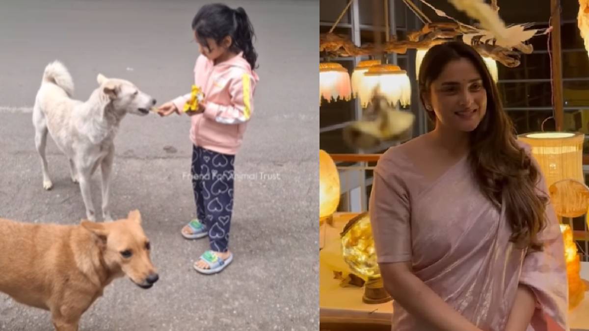 ಬೀದಿನಾಯಿಗಳ ಕುರಿತು ಮತ್ತೊಂದು ವಿಡಿಯೋ ಹಂಚಿಕೊಂಡ ನಟಿ ರಮ್ಯಾ - ಈ ಬಾರಿ ಹೇಳಿದ್ದೆ ಬೇರೆ!!