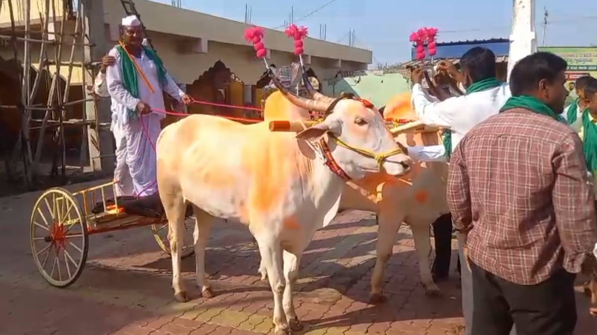200 ಕೋಟಿ ನೀರಾವರಿ ಯೋಜನೆ ತಂದ ಶಾಸಕ - ಶಾಸಕರಿಗೆ ಎತ್ತು ಗಾಡಿ ನೀಡಿದ ರೈತರ ಕೆಲಸಕ್ಕೆ ಬಾರಿ ಮೆಚ್ಚುಗೆ!!