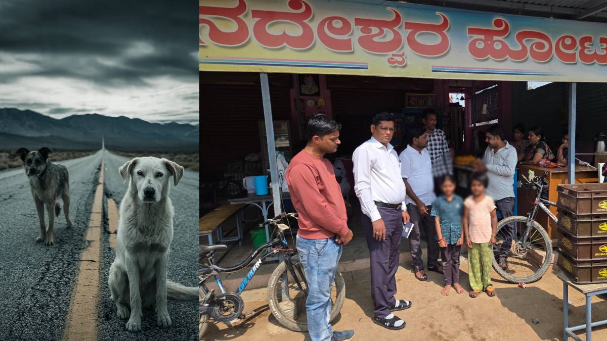 ಶಾಲೆಯಿಂದ ಮನೆಗೆ ಮರಳುತ್ತಿದ್ದ ಮಕ್ಕಳ ಮೇಲೆ ಹುಚ್ಚು ನಾಯಿಗಳ ದಾಳಿ - ನಾಲ್ಕು ಮಕ್ಕಳಿಗೆ ಗಂಭೀರ ಗಾಯ!!