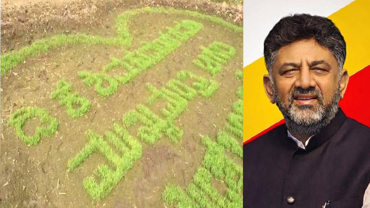 ಮಂಡ್ಯದಲ್ಲಿ ಡಿಕೆಶಿ ಸಿಎಂ ಕನಸು - ಭತ್ತದ ಪೈರಿನಿಂದ ಅಭಿಮಾನಿಗಳ ಪ್ರಿತಿ!!