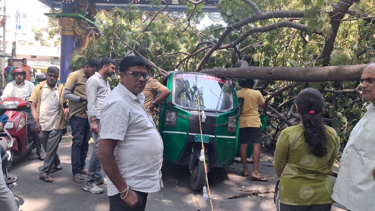 ಬೆಂಗಳೂರು ರಾಮ ಮಂದಿರ ಪ್ರದೇಶದಲ್ಲಿ ಭಾರೀ ಅನಾಹುತ - ನೋಡ ನೋಡ್ತಿದ್ದಂತೆಯೇ ಉರುಳಿ ಬಿದ್ದ ಮರ!!