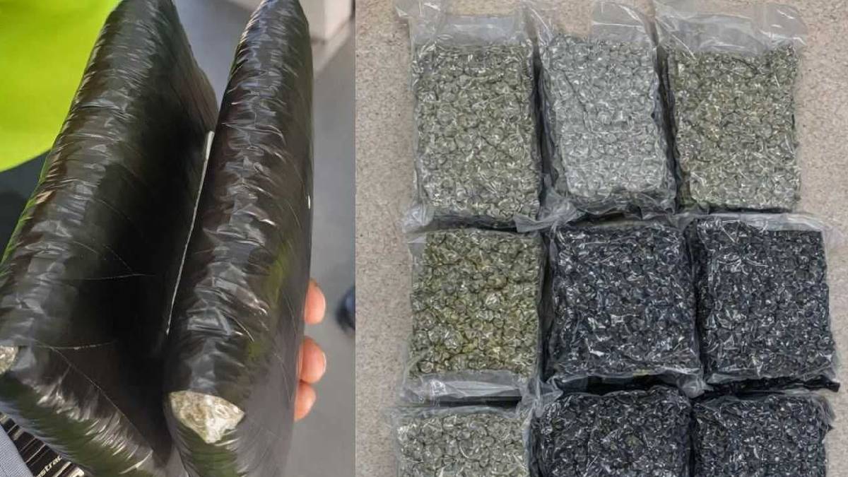 Drug Seizure at Kempegowda International Airport – Customs Foil Smuggling Attempt