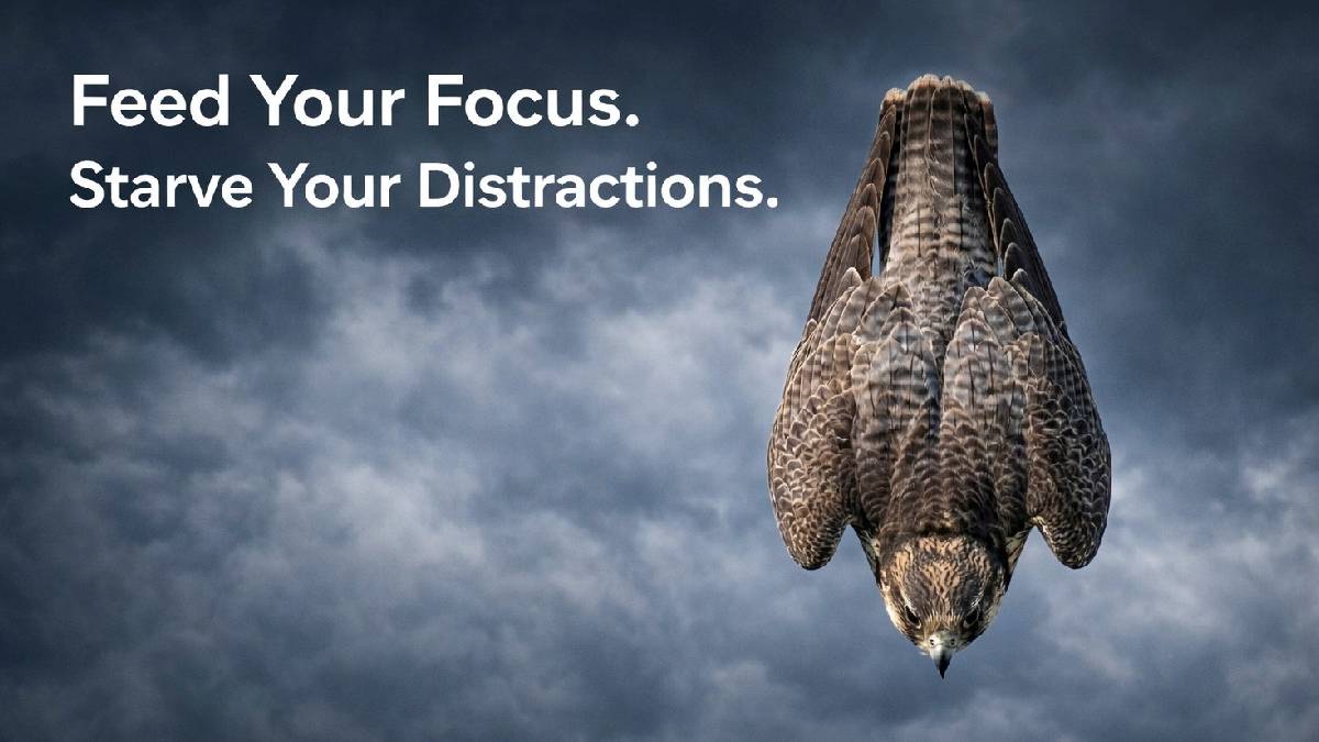 Feed Your Focus. Starve Your Distractions