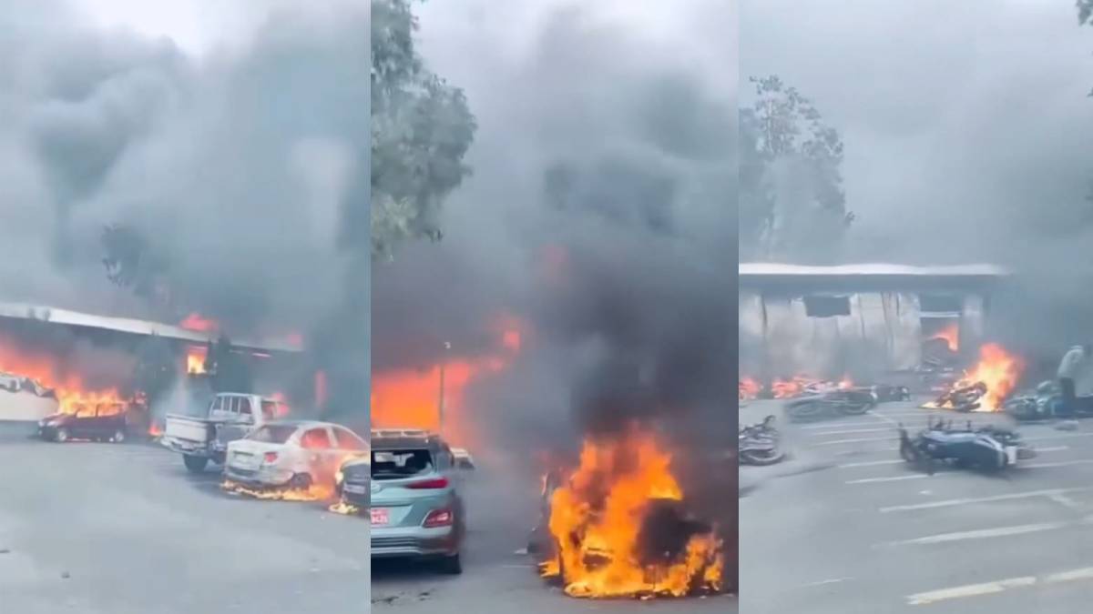 ಮಾಫಿಯಾ ರಕ್ಕಸನ ಅಂತ್ಯವಾದರೂ ನಿಲ್ಲದ ರಕ್ತಪಾತ - ರಸ್ತೆಗಳಲ್ಲಿ ಹೆಚ್ಚಿದ ಅಟ್ಟಹಾಸ! ವಿಡಿಯೋ ವೈರಲ್