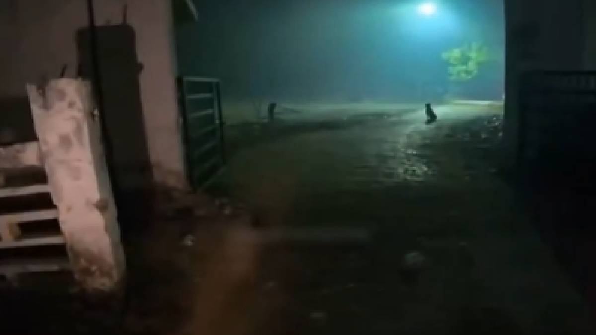 A Fun Delivery: Woman Orders Biryani at Graveyard – Viral Story