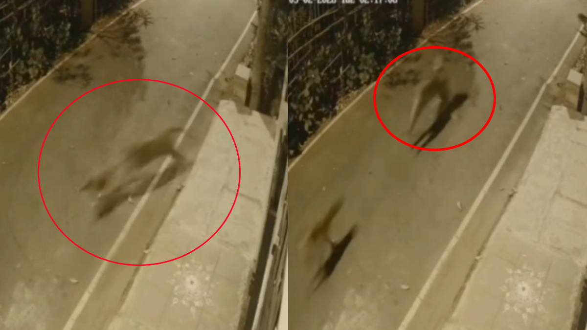 Leopard Sighting Sparks Panic in Bengaluru’s Anjanapura; Forest Department on High Alert