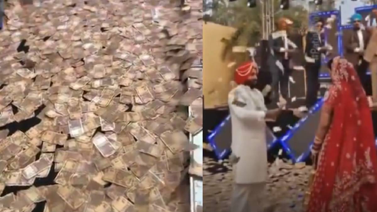 From Robots to Rupees: Two Vastly Different Spectacles