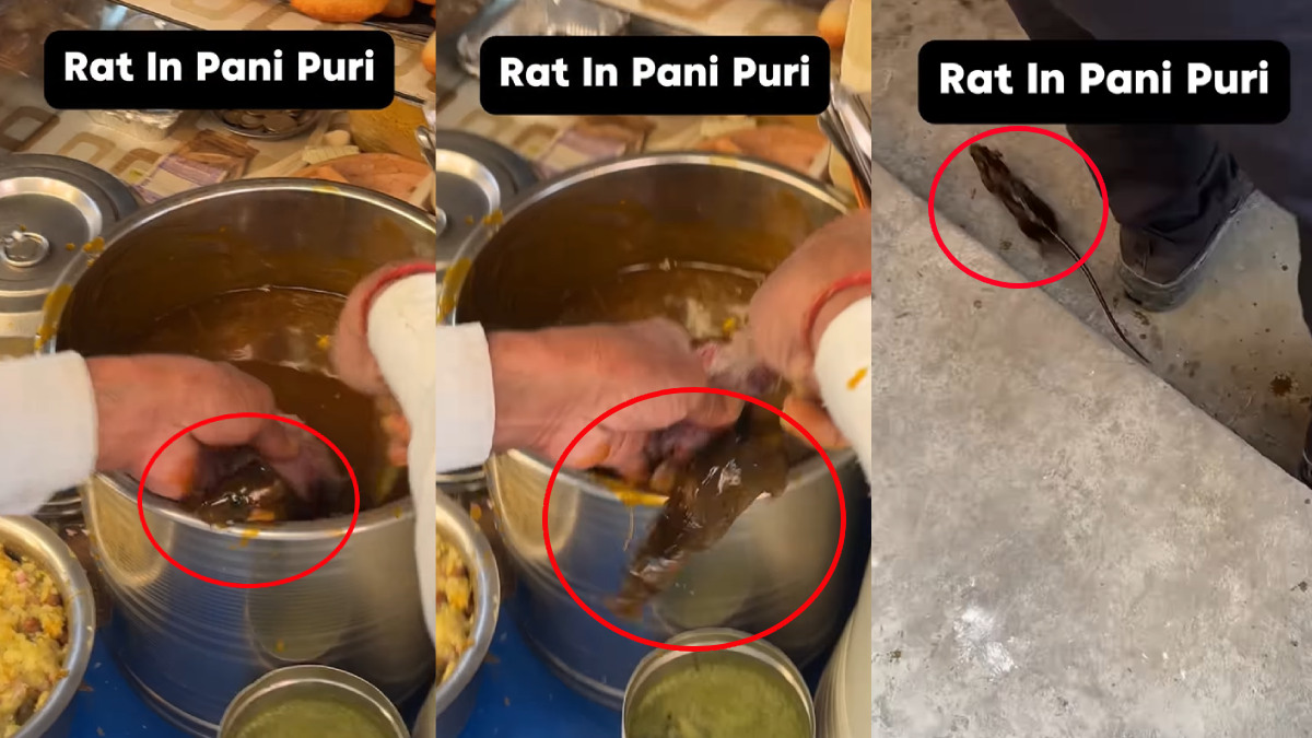 Pani Puri Nightmare: Viral Video Shows Live Mouse Inside Golgappa Mixture; Internet Outraged