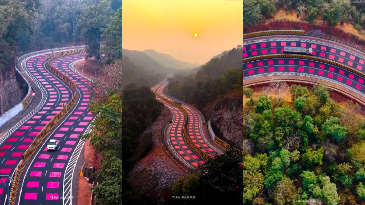 A Bright Red Highway in Madhya Pradesh That Keeps Animals and People Safe