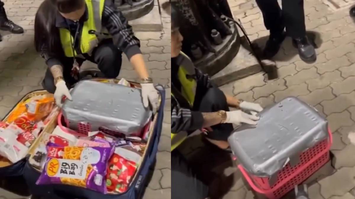 Indian Man Caught Smuggling Monkey from Thailand to Mumbai at Bangkok Airport