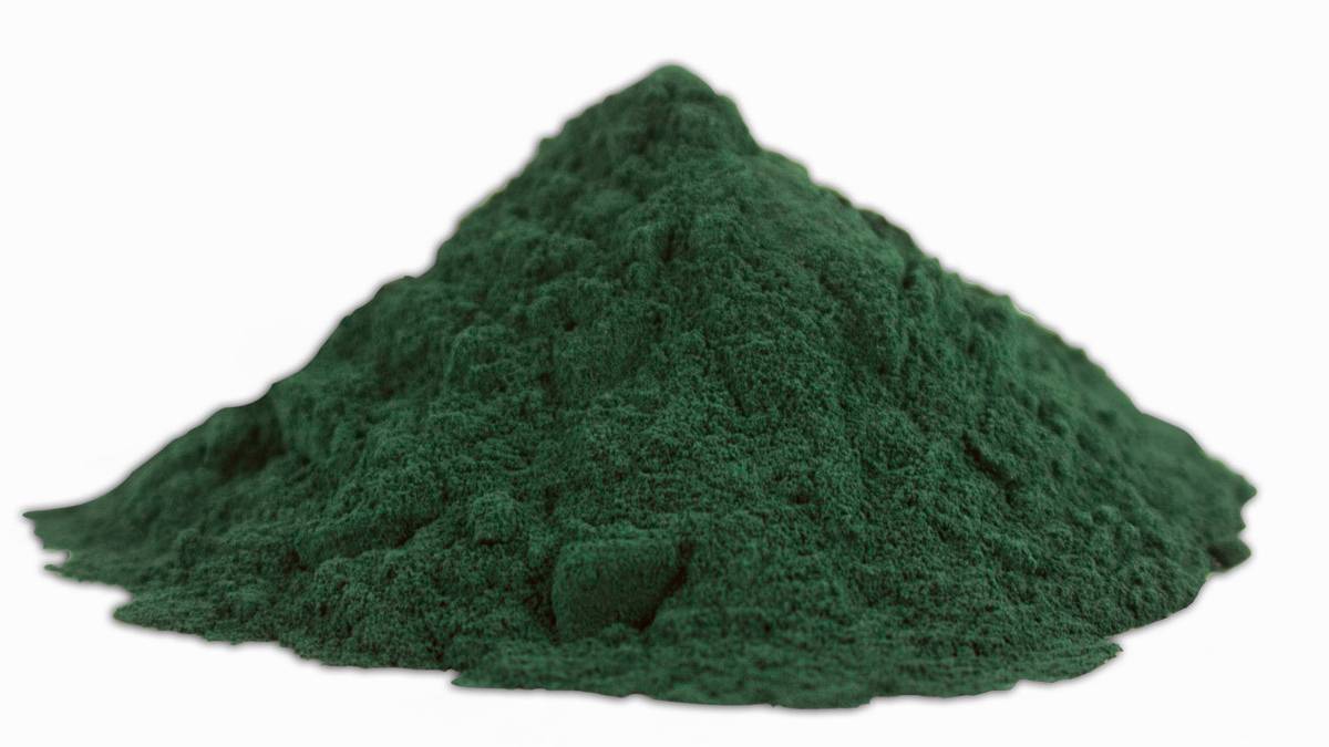 Turning Crops into Superfoods: Odisha’s Spirulina Farm Inspires Global Demand